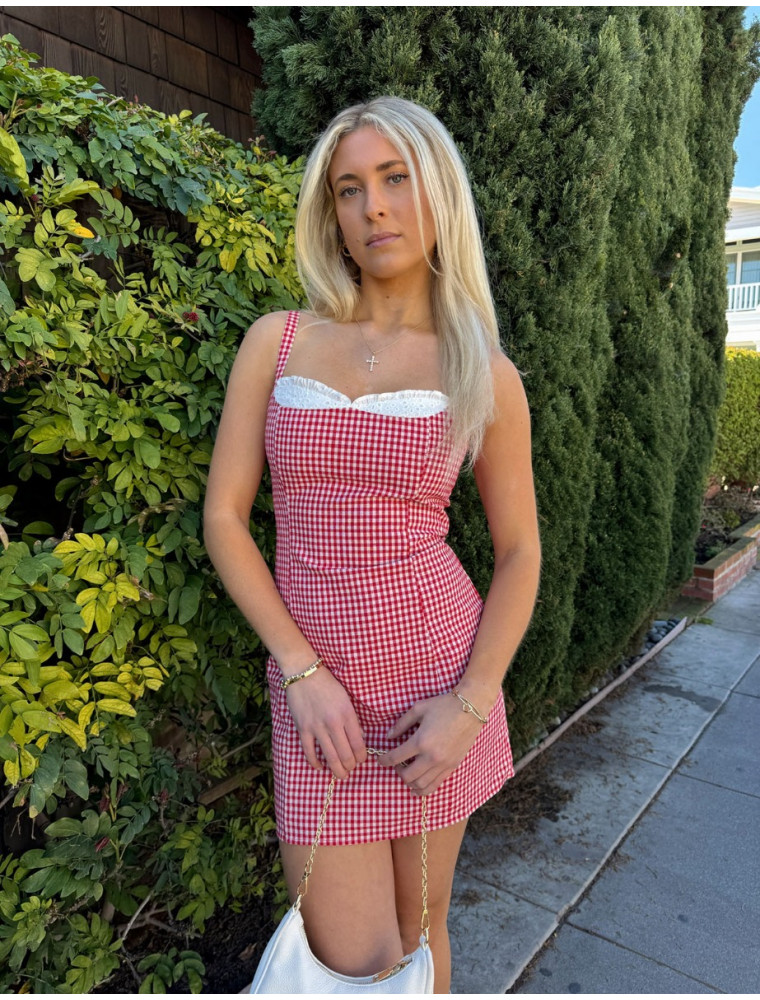 Long Story Gingham Mini Dress