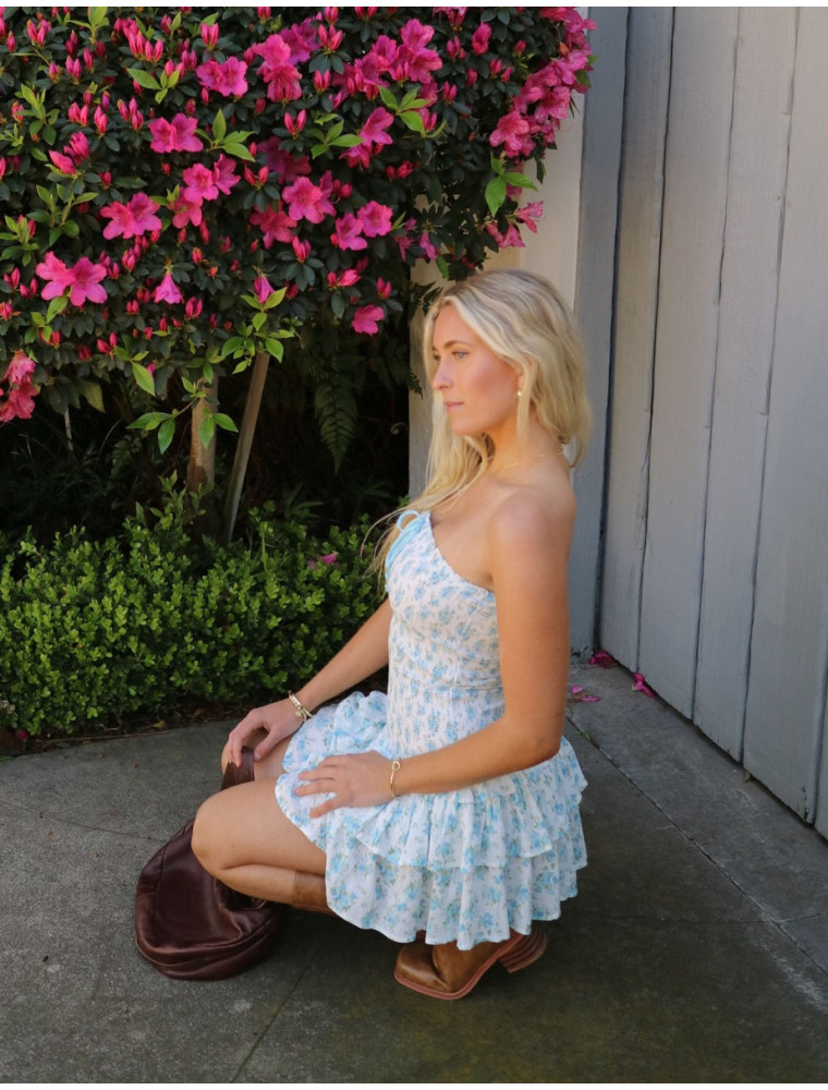 Sunset With Friends Mini Dress